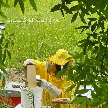 Azienda Agricola Bio Sanbonaventura Villa Passo di Mirabella Екстериор снимка