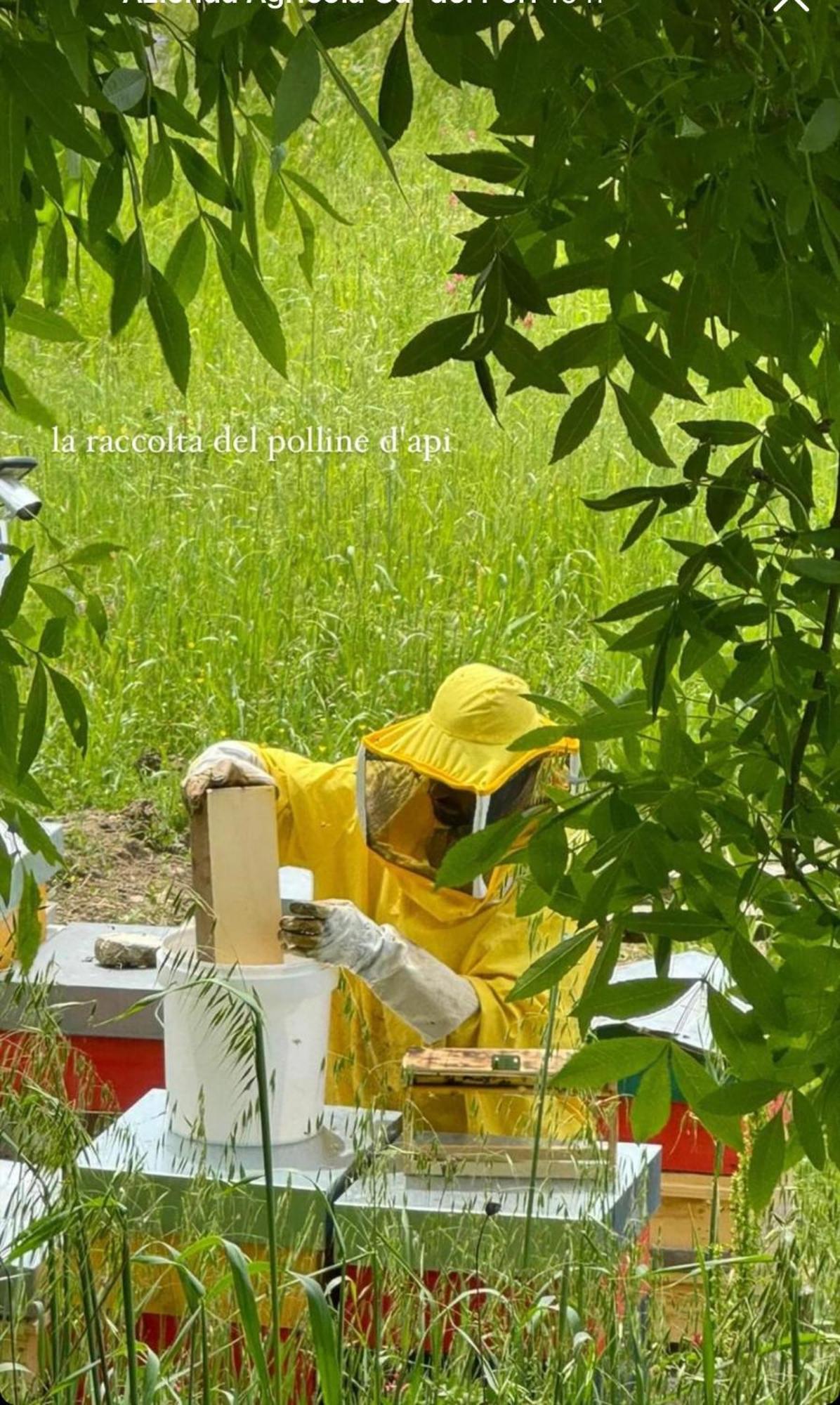 Azienda Agricola Bio Sanbonaventura Villa Passo di Mirabella Екстериор снимка